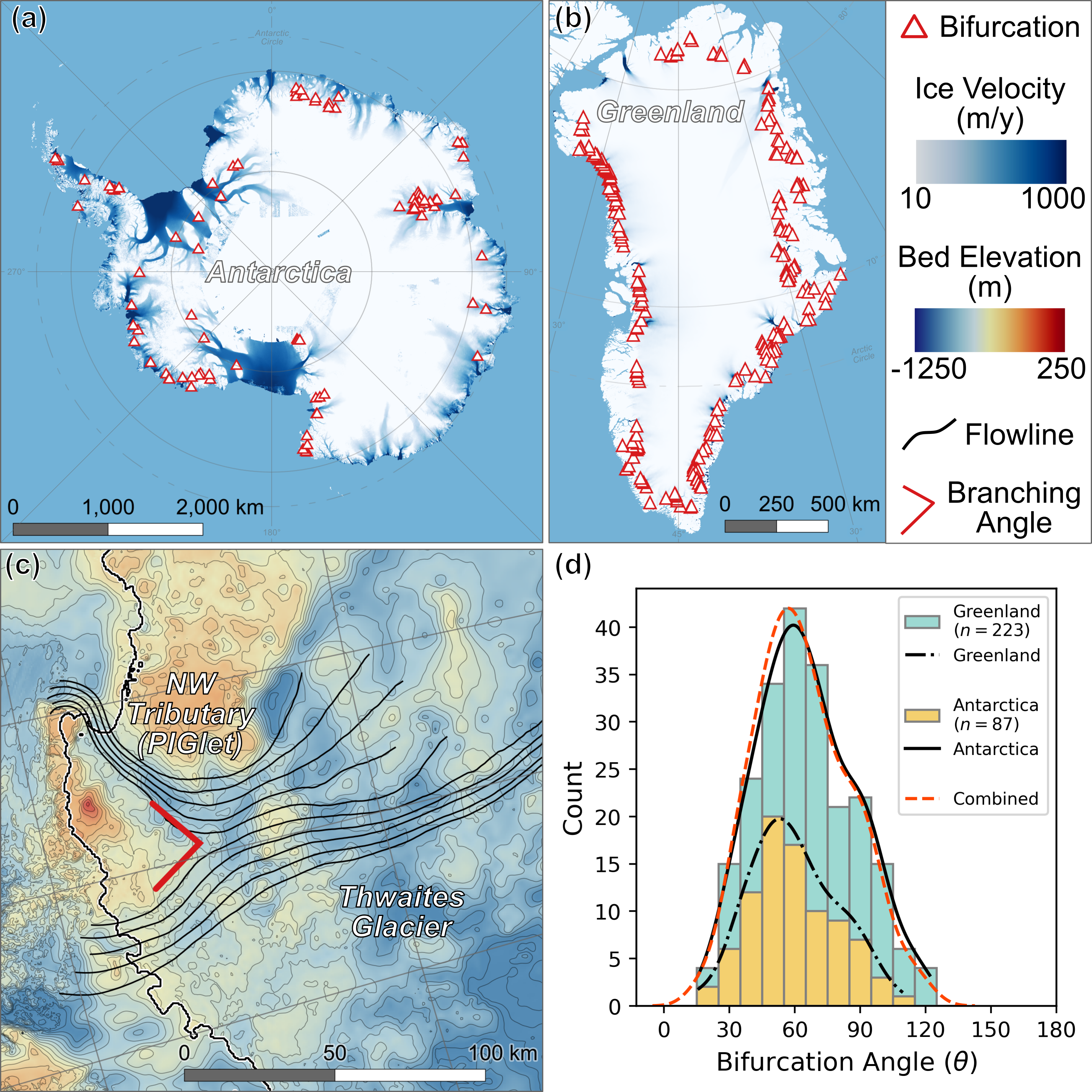 Branching angles in Antarctica and Greenland