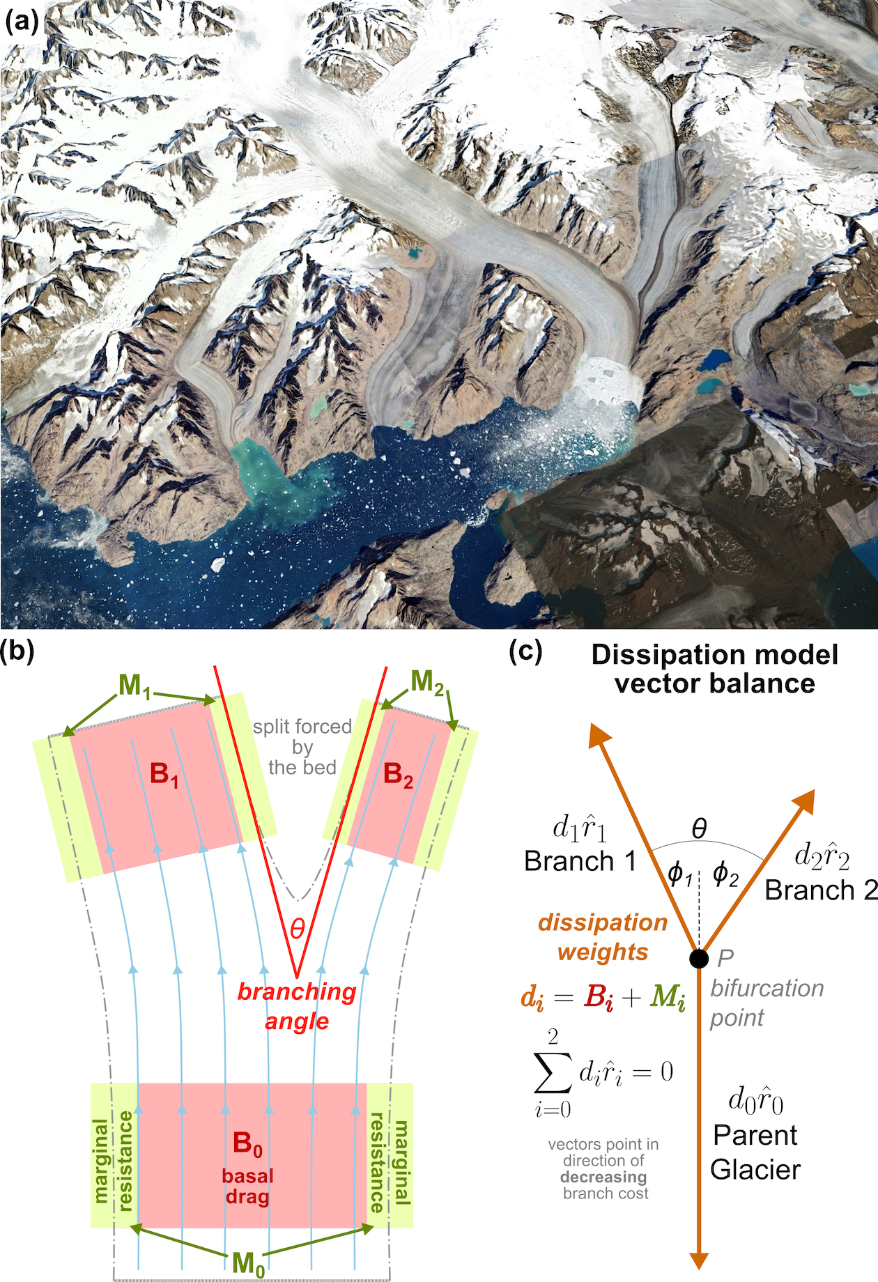 Conceptual model of glacier branching.