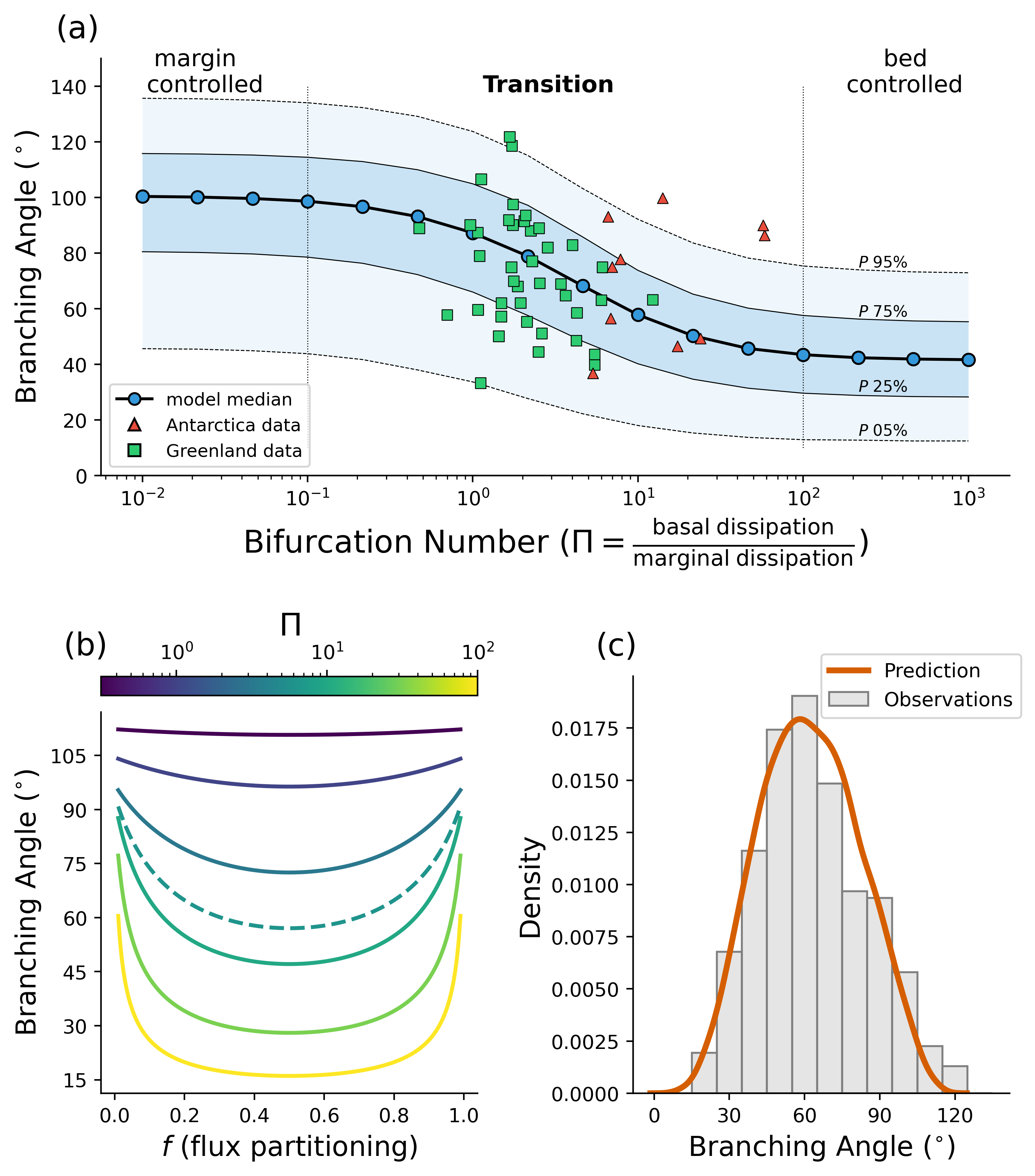 Model predictions of glacier branching angles.
